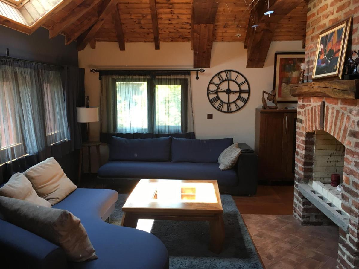 Karina Art Mountain View Apartment Софія Екстер'єр фото